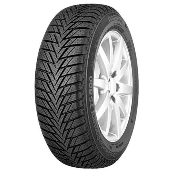 WINTERCONTACT TS800
